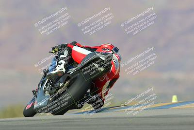 media/Jan-13-2024-SoCal Trackdays (Sat) [[9c032fe5aa]]/Turn 9 Backside (110pm)/
